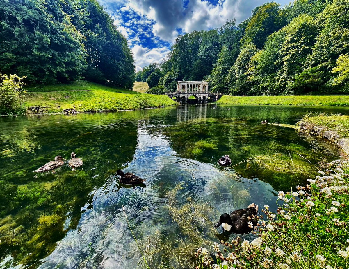 Jensonsartcafe's tweet photo. Prior Park Landscape Gardens @priorparkbath @nationaltrust #nationaltrust #priorpark #landscapephotography #landscapegarden #photography #picoftheday #thephotohour #photooftheday #igersbath #photo #beautifulview https://t.co/HT9kNojomR