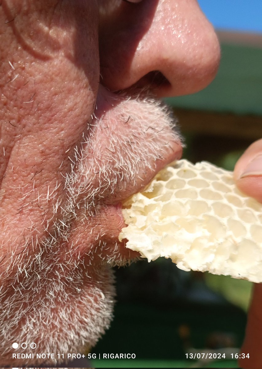 Si succhia dal favo che è diverso dal succhiare dalla fava.