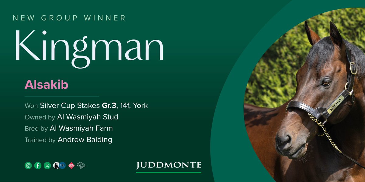 JuddmonteFarms's tweet photo. 5️⃣0️⃣ Group winners for KINGMAN! 
Another new Group winner of the day as Alsakib toughs it out to win the Gr.3 Silver Cup Stakes @yorkracecourse for owner-breeder Al Wasmiyah Farm and Stud. #RaisingTheStakes https://t.co/ZP7bUNOeNL