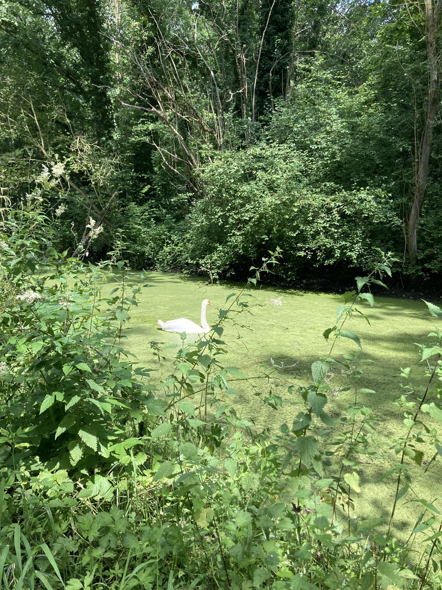 NuritViesel's tweet photo. Finishing the #IMBES2024 with a nice long run including sightseeing and nature - thank you @Bert_De_Smedt for your suggestion it was amazing! https://t.co/jCGYBAxtpq