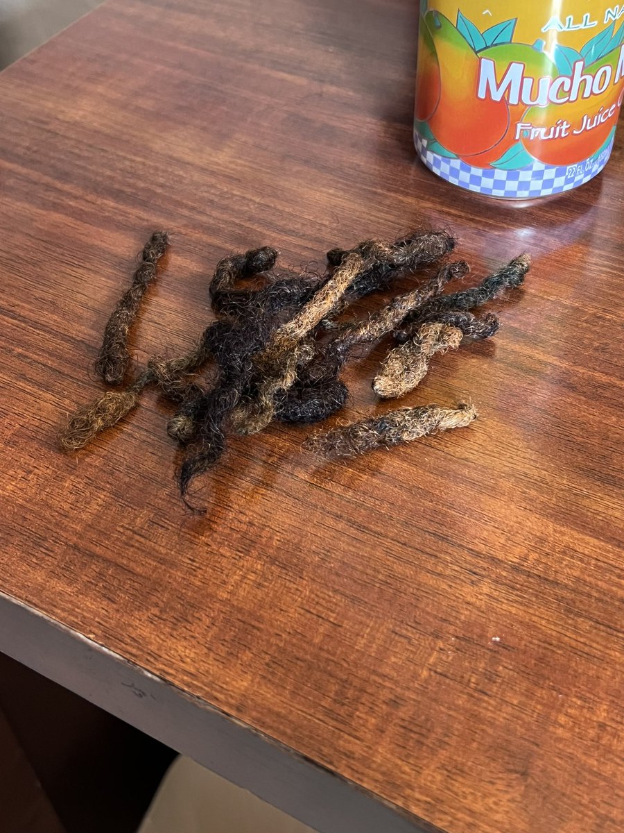 redimprint's tweet image. #bald