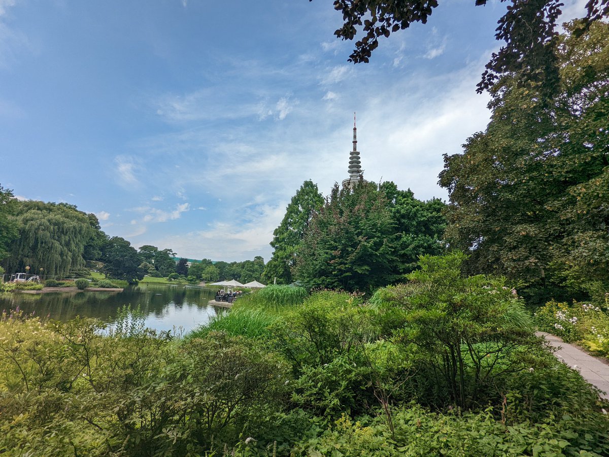 Katie Pickup tweet media