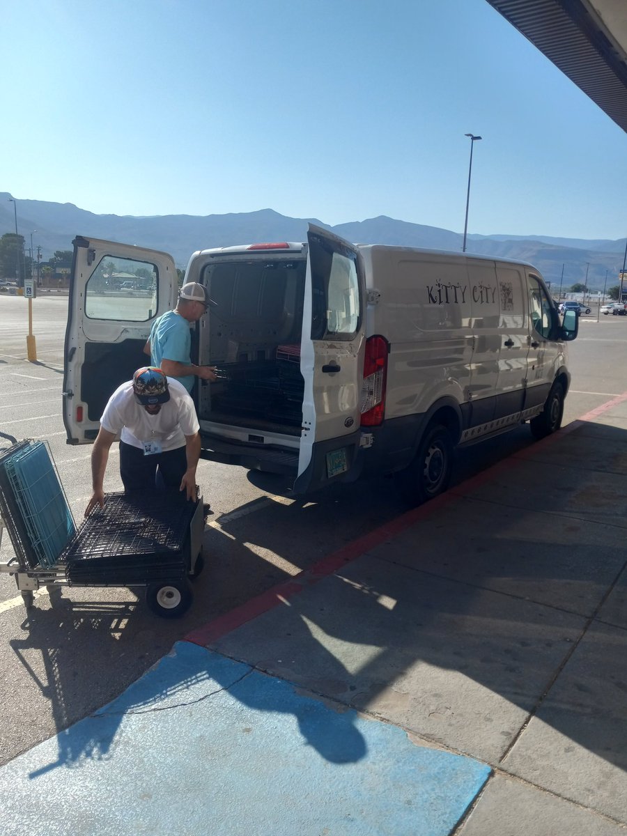 LValance44's tweet photo. Setting up our Alamogordo Kitty City #adoption if you have room in your Home & your Heart time is running out for these #precioUSAngels Please get down to your local #rescue adoption event or municipal shelter
" Don't keep your Best friend waiting ๐โโฌ https://t.co/sJf5KGtOmJ