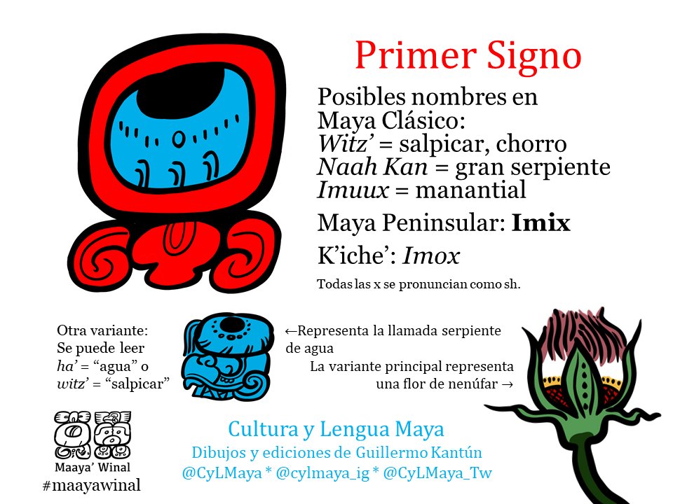 CyLMaya_Tw's tweet photo. Ayer 12 de julio inició el Maaya' Winal. En @CyLMaya_Tw comenzaremos con el día en que inició el Maaya' Winal, Imix o Imox.
Dibujos y ediciones de @KantunAhau
#maya #mayan #tzolkin #cholqij #nahuales #tzolkinmaya #nawal #nahual #imix #imox #nenufar #maayawinal https://t.co/3rWoazCUOm