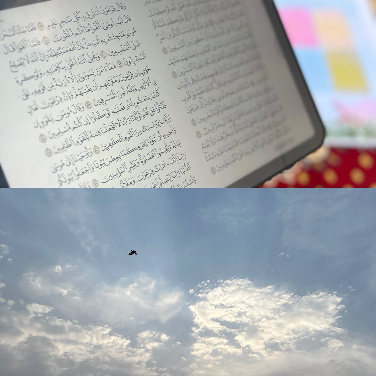 "وأمَّا القُــــرآن! فخير صَاحِب؛
فَوقَ الأرضِ، وتَحتَ الأرض، ويَومَ العَرض🤍"