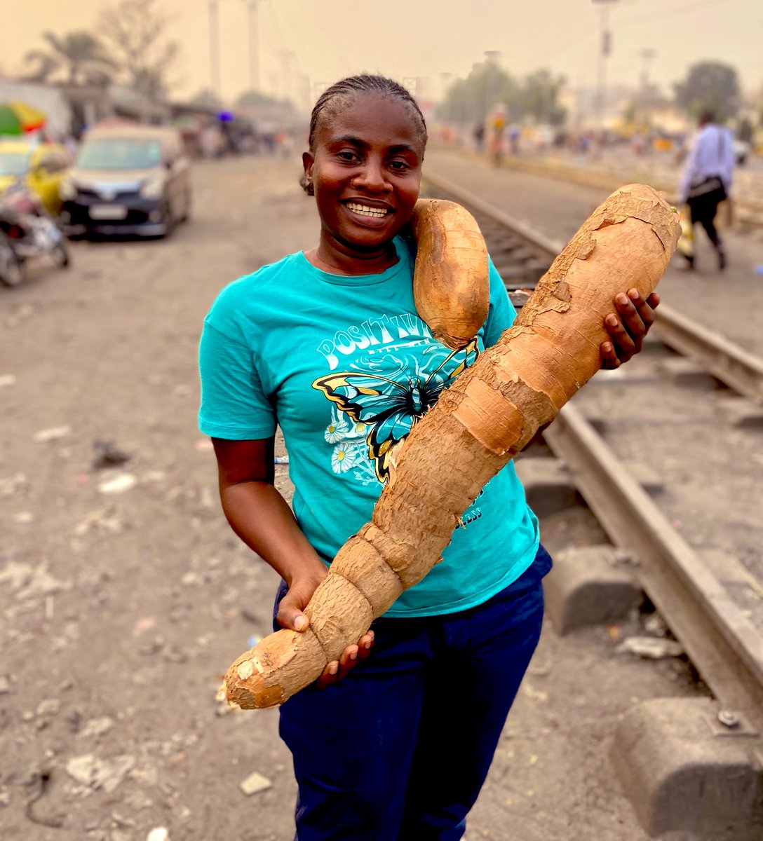 Les prémisses de la récolte de notre champs de manioc. La terre ne ment jamais ! <a href="/fpirdc/">Fonds de Promotion de l'Industrie</a>