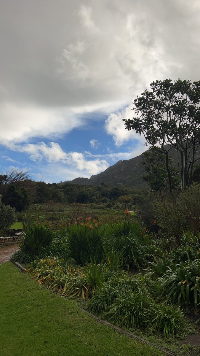 i7mes_'s tweet photo. The most beautiful garden 🌿☁️ https://t.co/ayGhi7iMOe