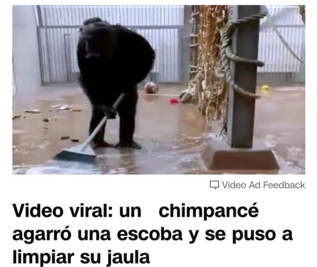 Caleon70s_'s tweet photo. Cuando estaba morro y me daba por limpiar mi cuarto

Mi jefa inmediatamente: https://t.co/tty5AhiBqd