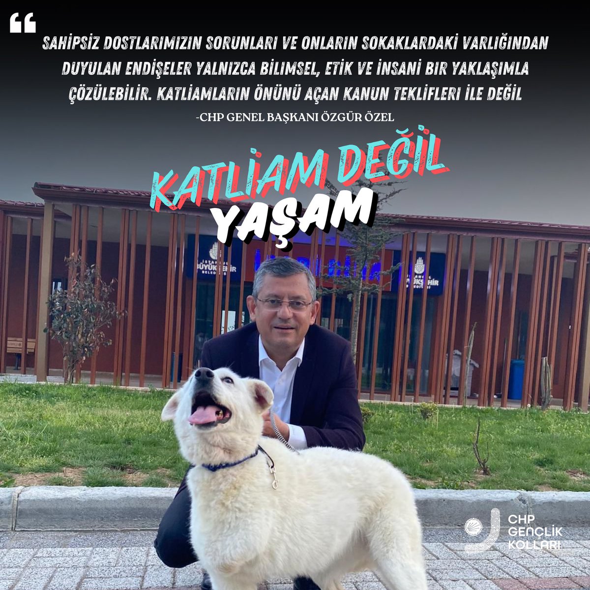 Sokaklarımızı güvenli kılmak için katliama değil, bilime ve vicdana ihtiyaç var.

#KatliamYasasınaHayır