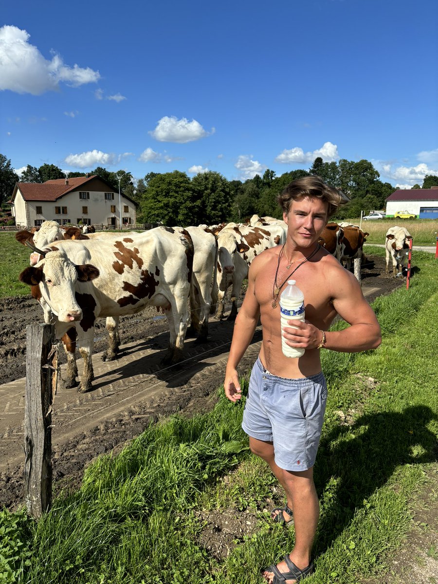 TravelingTintin11:11🐸 tweet media