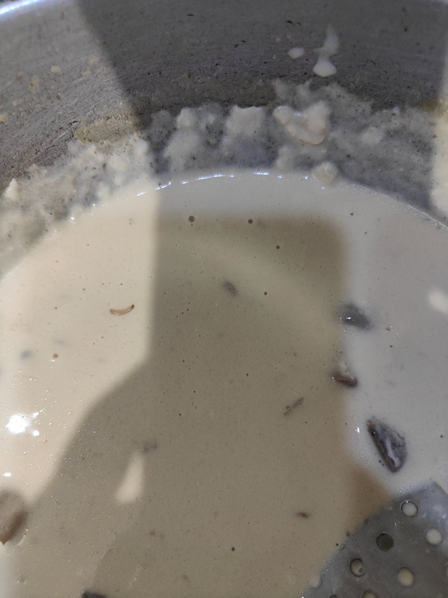 Shalini_Sing's tweet photo. @Amul_Coop 
Amul cream with expiry date Sep 25 had so many small worms
This is not expected from Amul. https://t.co/6MNKskYxTd