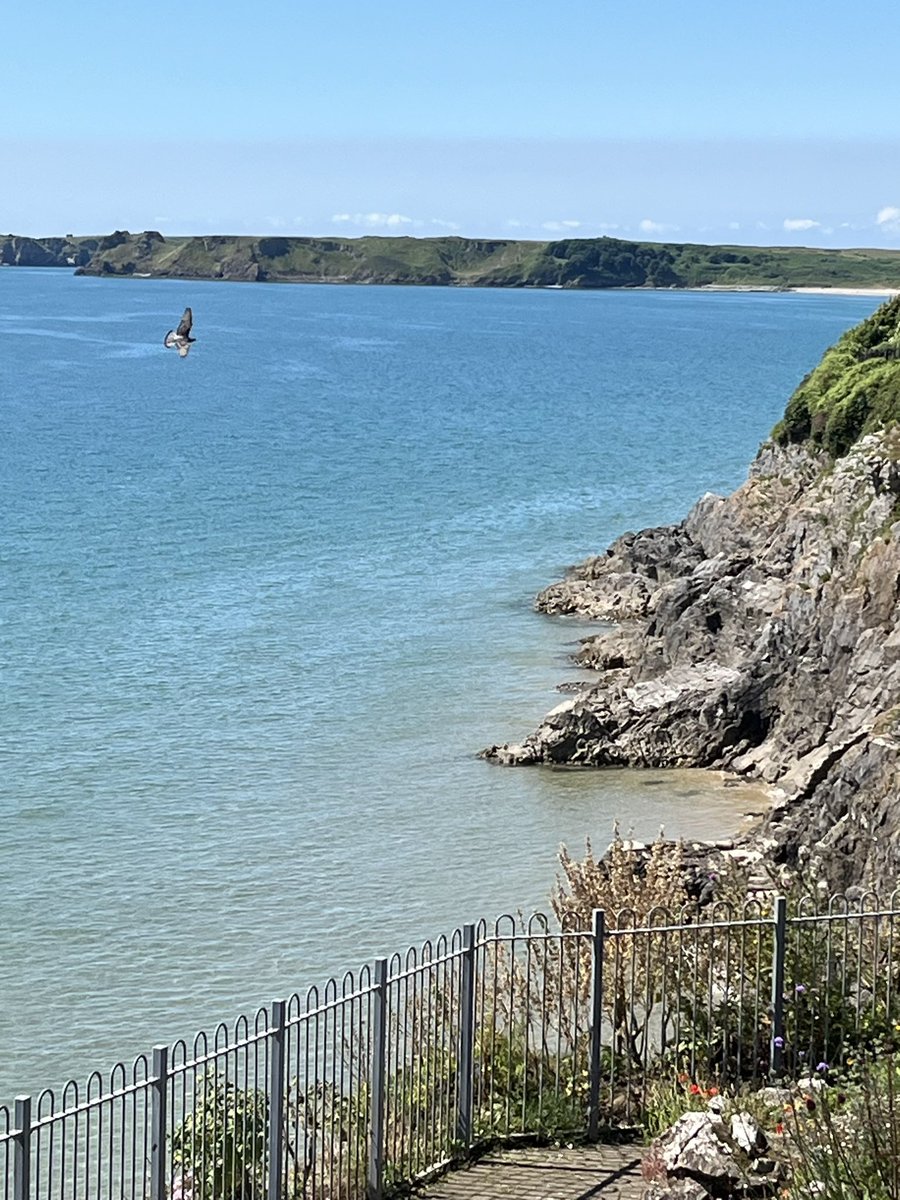 In beautiful Wales for a few days 

#Wales 🏴󠁧󠁢󠁷󠁬󠁳󠁿
#Tenby
#100daysofwalking
#200daysofwalking