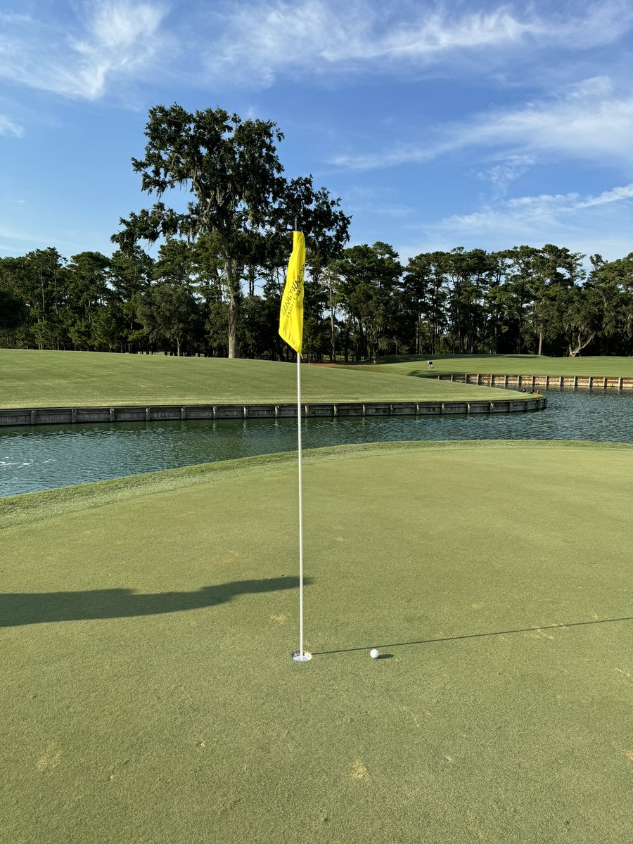 PGATourKane's tweet photo. I was this close to a hole-in-one on No. 17 at TPC Sawgrass. 

I’ve been playing golf for 17 years and working in golf for 10 years. 

Still never made or witnessed an ace before. The streak continues … 🪜🧂🐈‍⬛ https://t.co/kKhqxKDYwH