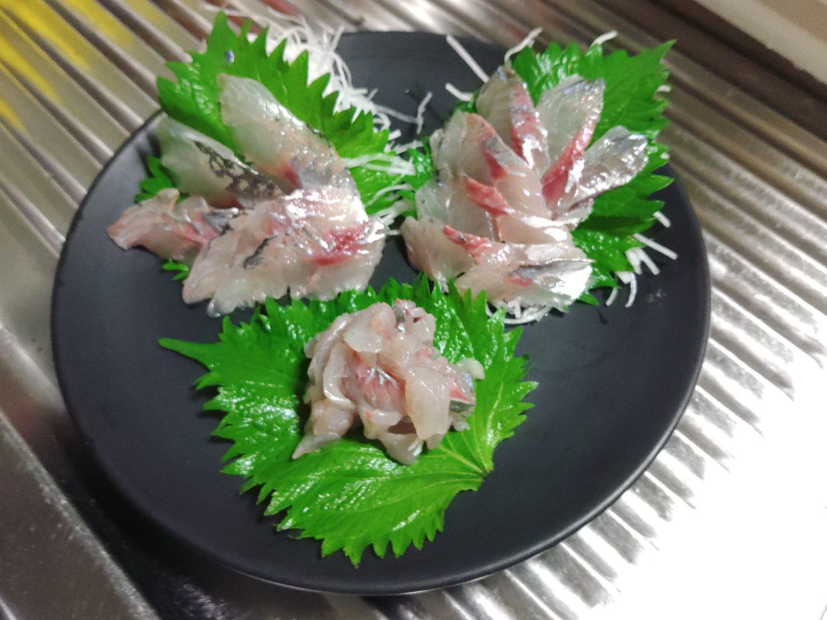 chakapoco911's tweet photo. アジ居た！

週末に旨い肴が釣れたわ！
(￣▽￣)

日本酒でいただきます！

#釣り #おかっぱり #アジ #横浜 https://t.co/MxbUlHhzeI