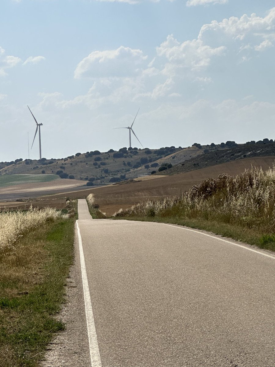 RafaelBeltránPerote tweet media