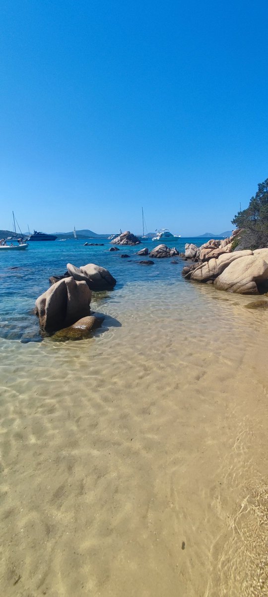 Emmanuel MATON tweet media