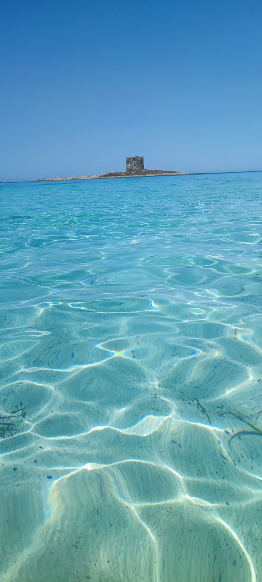 Emmanuel MATON tweet media