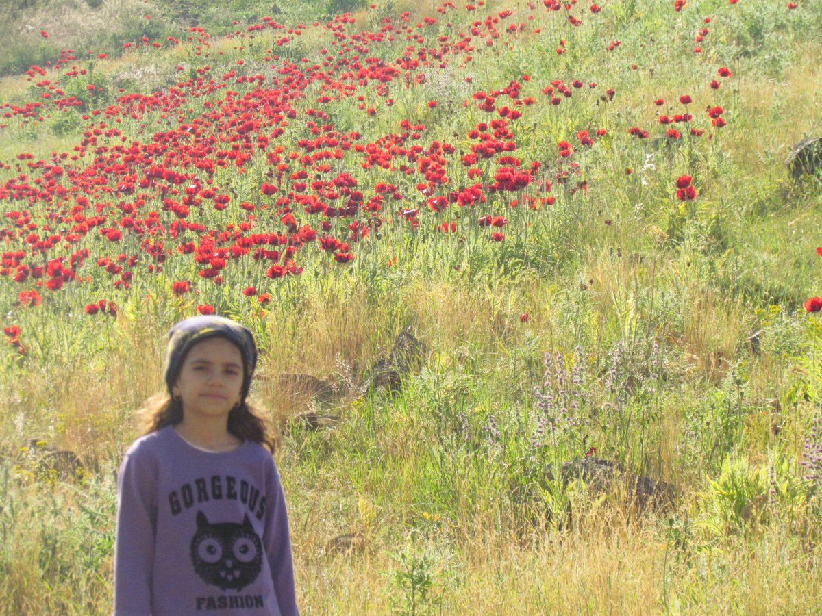 <a href="/gmk1971/">MAHIDUDI</a>