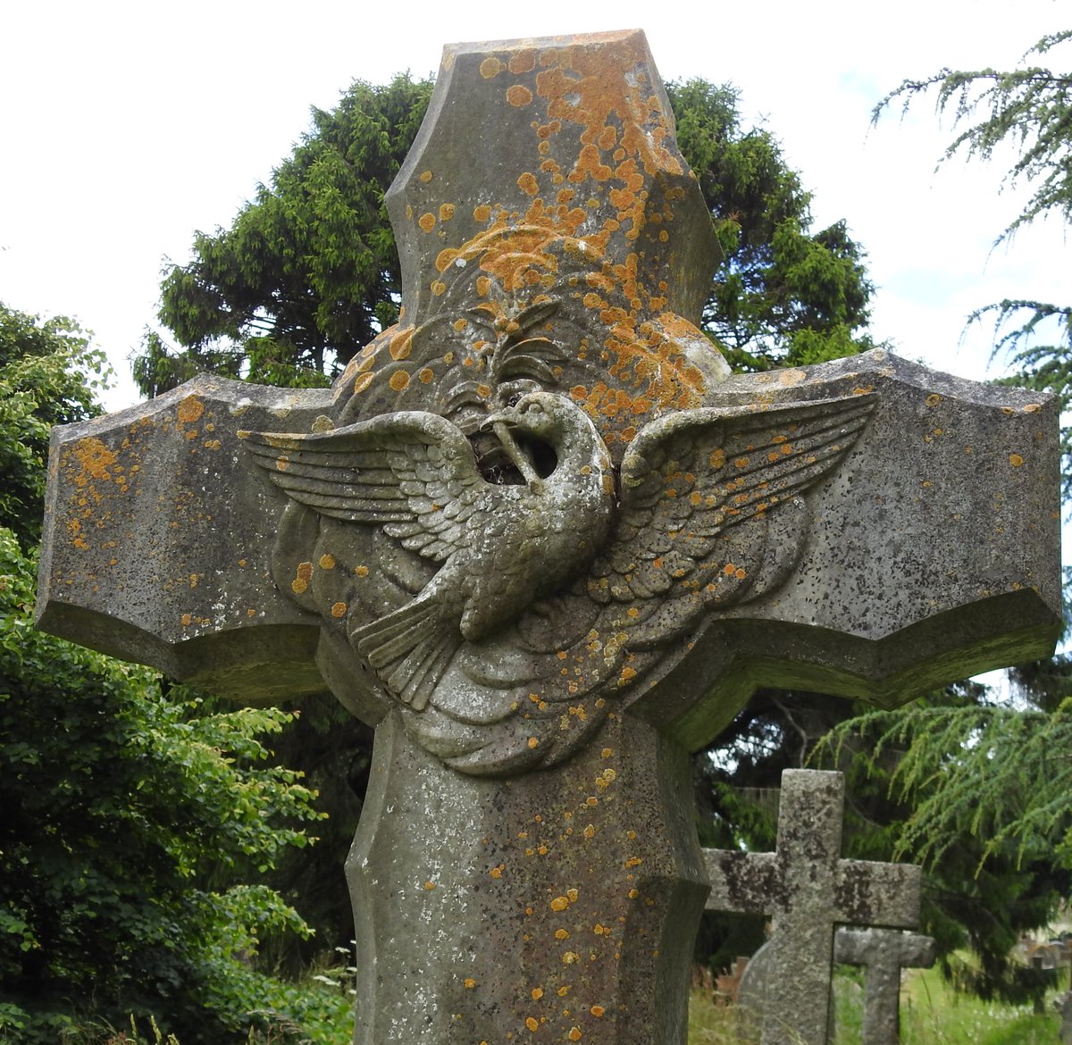 Friends of Teignmouth Cemetery tweet media