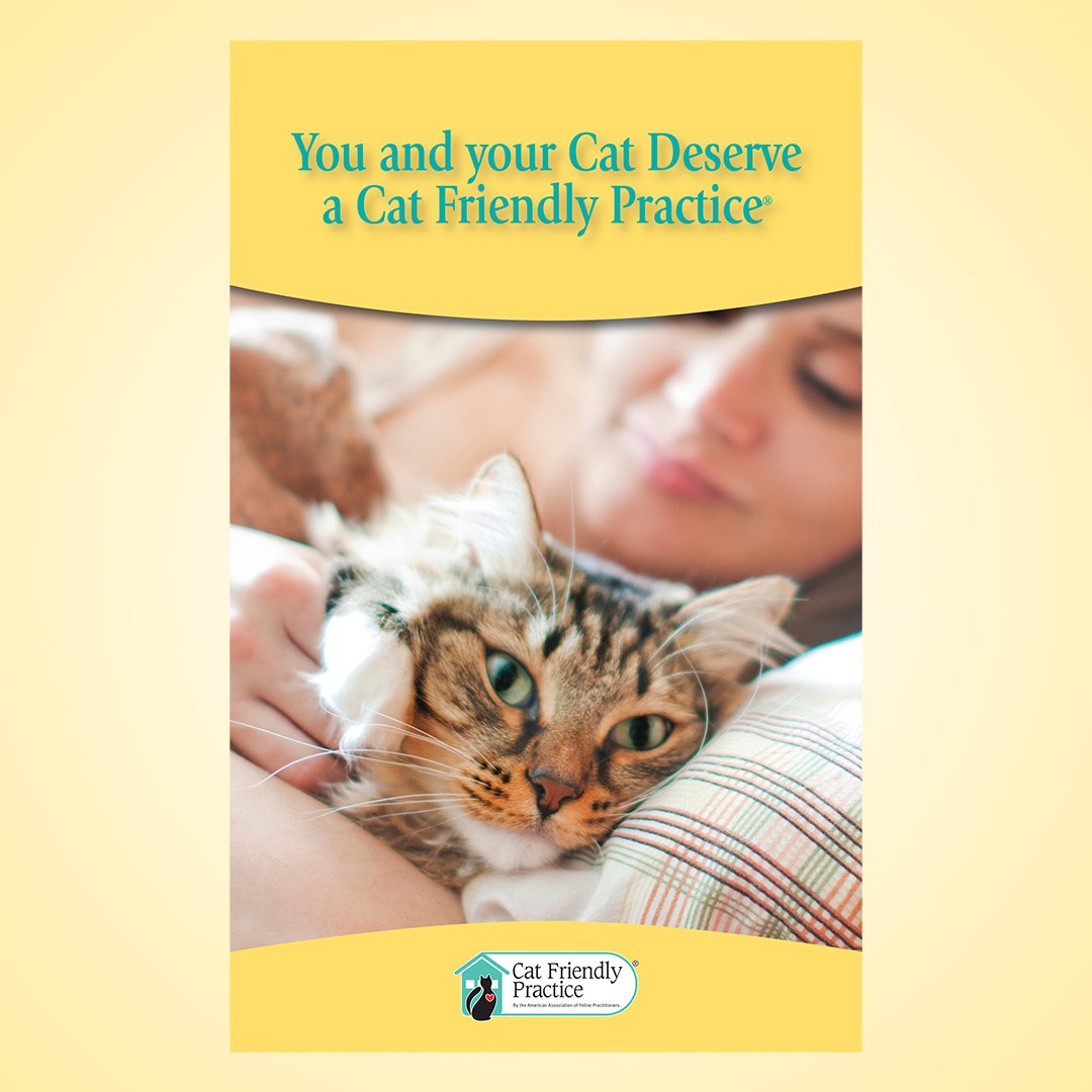 CatVets's tweet photo. The Cat Friendly Practice® Program is a global initiative designed to elevate feline care by reducing stress and making visits easier for cats, caregivers, and practice staff. Learn more at https://t.co/C0UWwwWOte.
#CatFriendlyPractice #CatFriendlyHomes https://t.co/topIaKgJkS