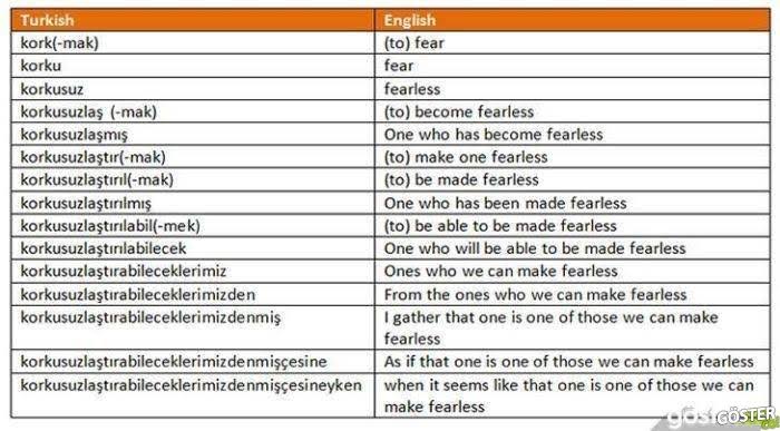 Yaşasın Türkçe, yaşasın sondan eklemeli dilimiz, yaşasın yeni Türk harfleri!
