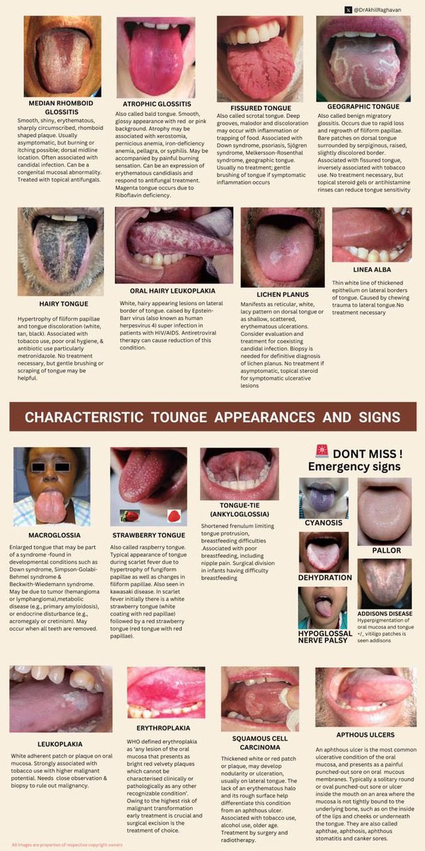 Dental Diaries tweet media