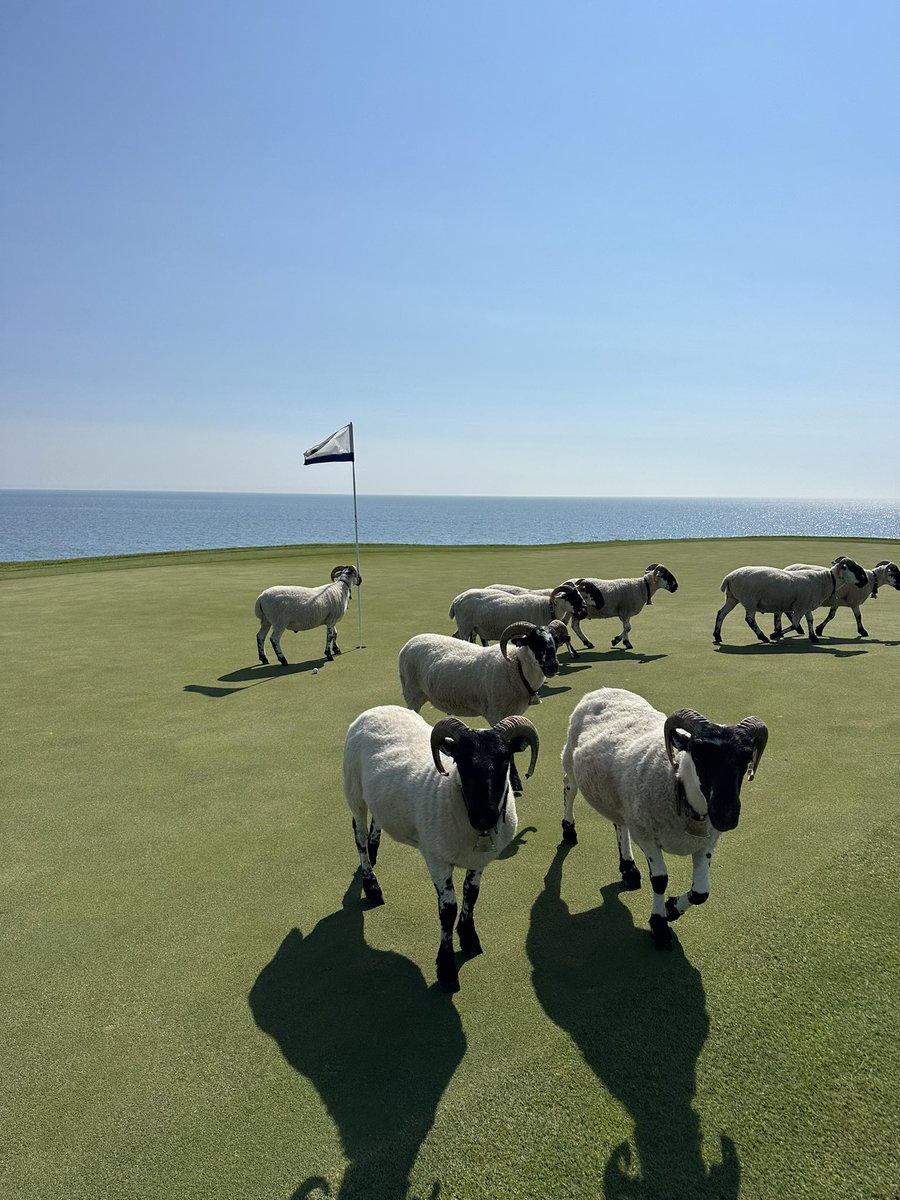 caddietales's tweet photo. Um, excuse me, you're in my player's line 😂 https://t.co/b2uUHjVVbo