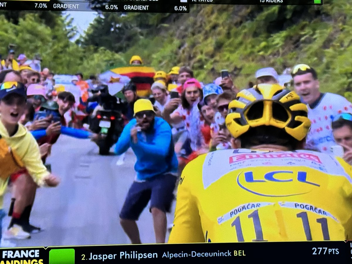 Riggs Lewis tweet media