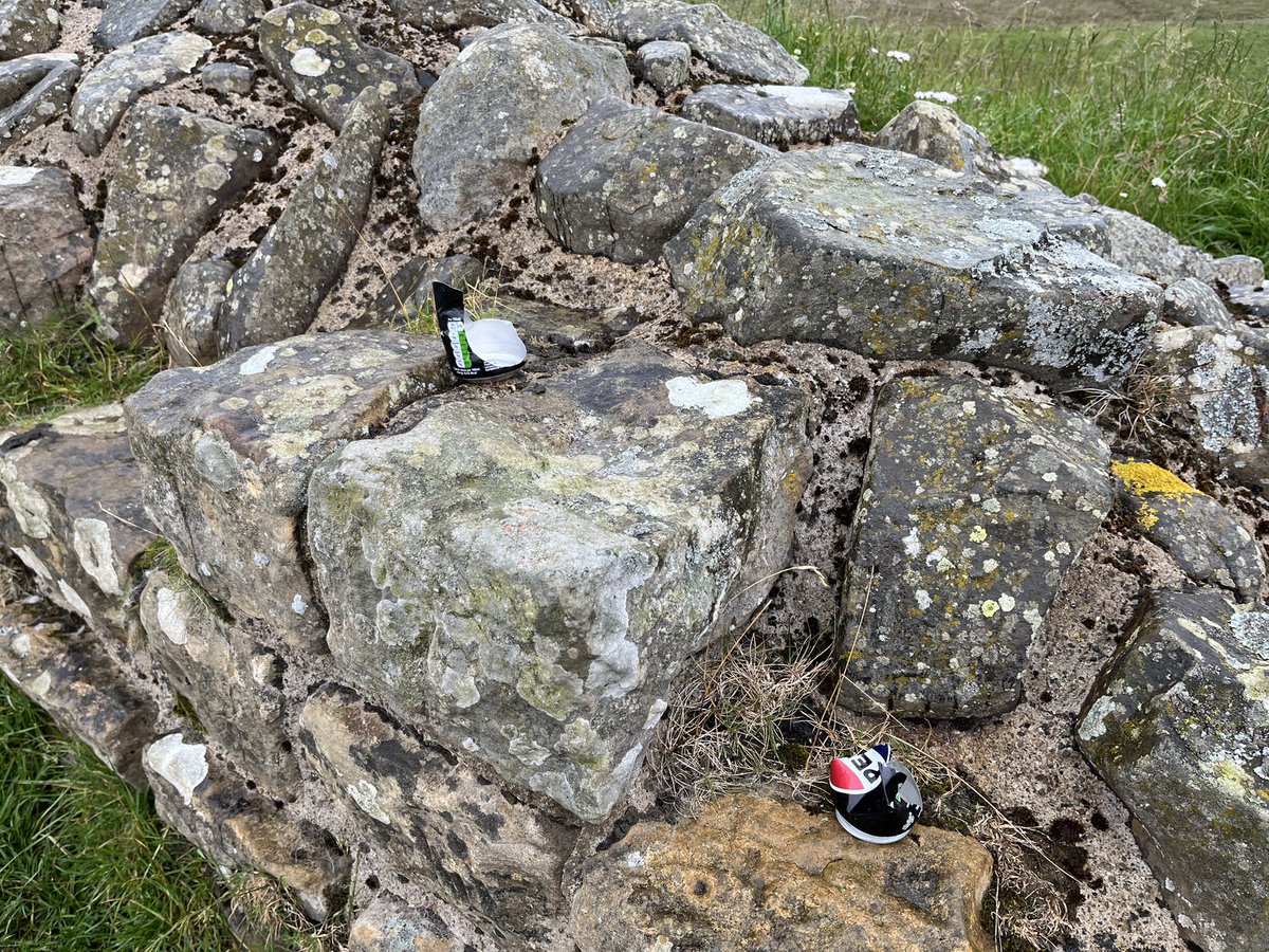 DougF1964's tweet photo. A plea. Please dispose of litter and dog bags responsibly. It’s not pleasant for people to open a gate and see a dog bag so close. I don’t understand how someone can carry a full drink can but once drunk it’s left on Hadrians Wall where cattle and sheep roam. @NlandNP https://t.co/zTcCo7xgIJ