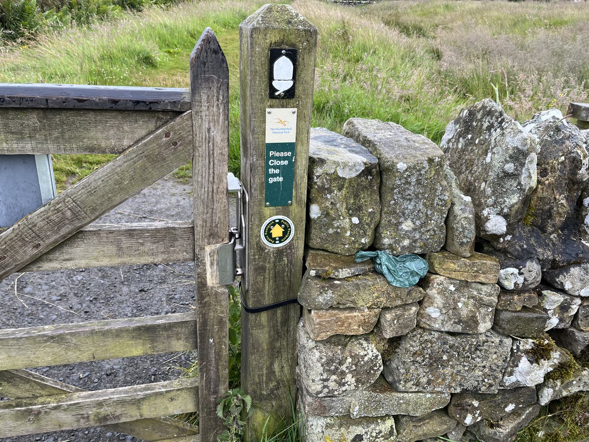 DougF1964's tweet photo. A plea. Please dispose of litter and dog bags responsibly. It’s not pleasant for people to open a gate and see a dog bag so close. I don’t understand how someone can carry a full drink can but once drunk it’s left on Hadrians Wall where cattle and sheep roam. @NlandNP https://t.co/zTcCo7xgIJ