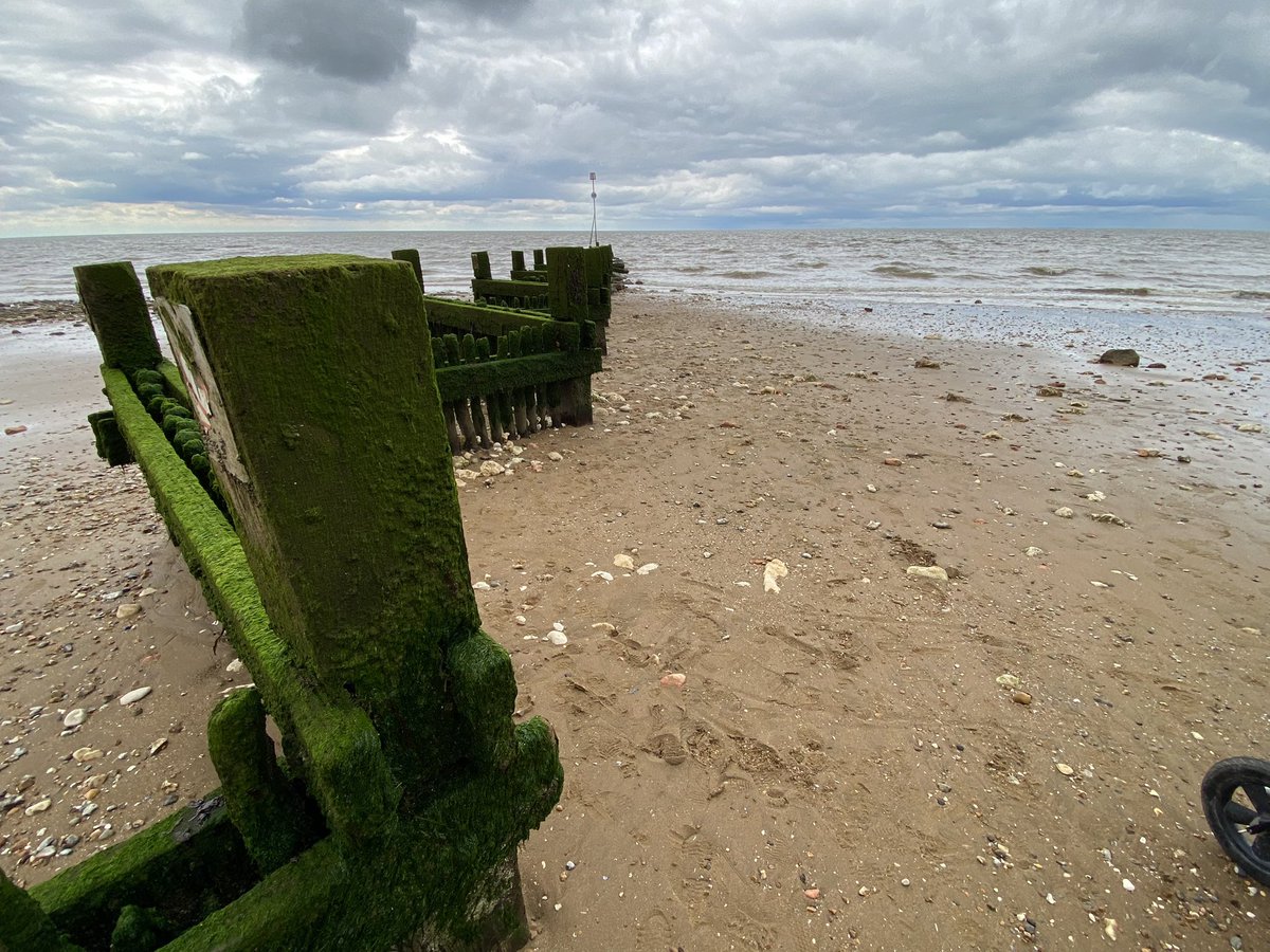 mountain-instruction tweet media