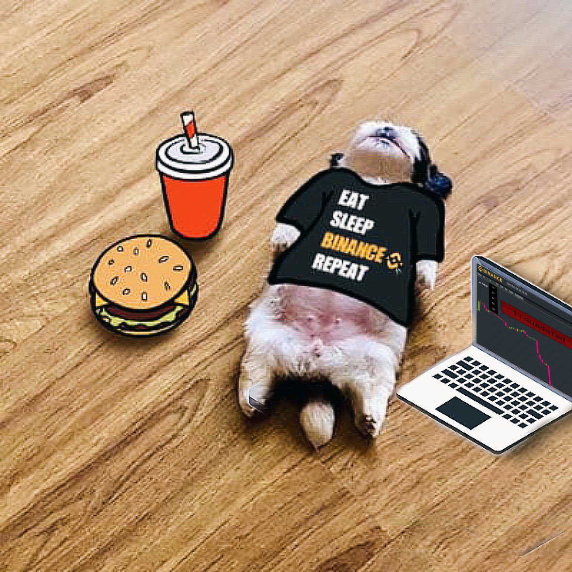 DeFinexxd's tweet photo. @binance Feeling sleepy 💤💤💤 https://t.co/MRcXf4f1Eh