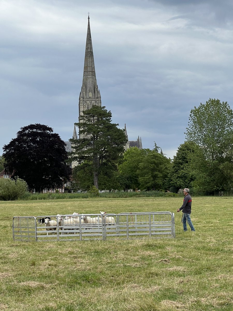 Ed Jewell (@edward_jewell) on Twitter photo Fascinating afternoon exploring the Harnham Water Meadows, learning how the ancient practice of managed flooding brings new life to the meadows. Also got to see a sheep dog demonstration. Thanks to the <a href="/HarnhamWMT/">Harnham Water Meadows</a> volunteers. Fascinating afternoon exploring the Harnham Water Meadows, learning how the ancient practice of managed flooding brings new life to the meadows. Also got to see a sheep dog demonstration. Thanks to the <a href="/HarnhamWMT/">Harnham Water Meadows</a> volunteers.