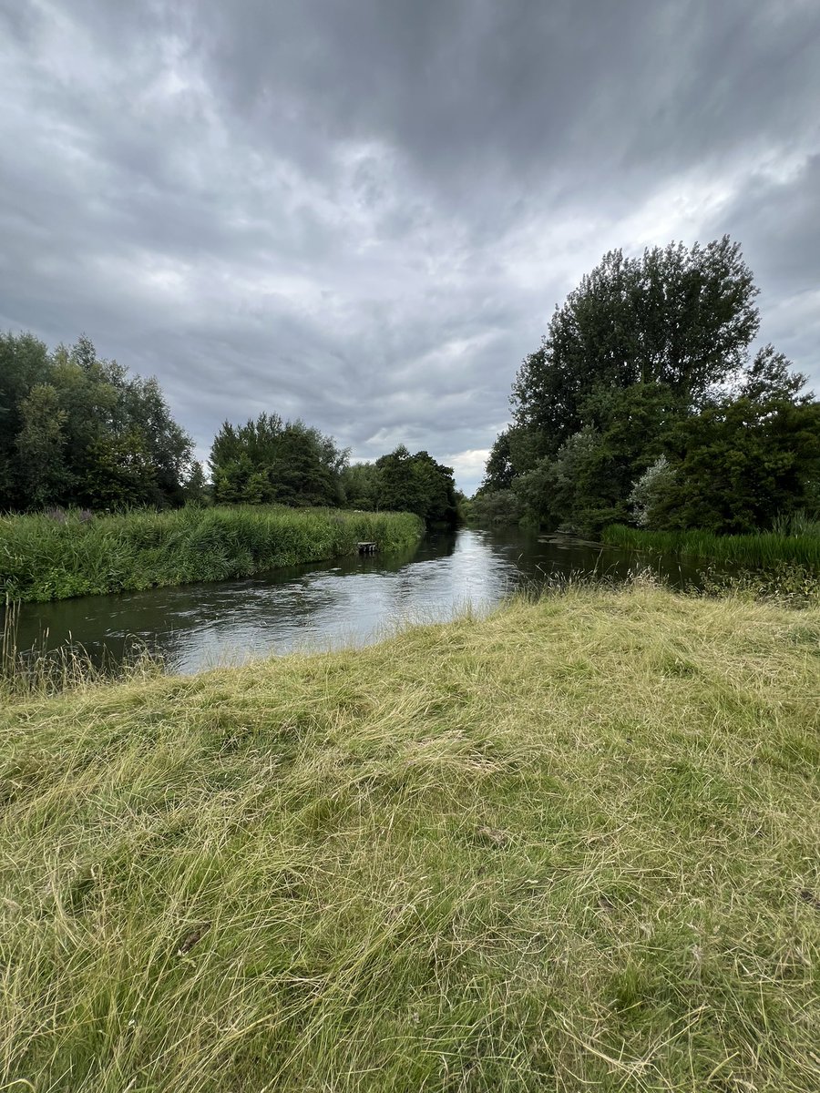 edward_jewell's tweet photo. Fascinating afternoon exploring the Harnham Water Meadows, learning how the ancient practice of managed flooding brings new life to the meadows. Also got to see a sheep dog demonstration. Thanks to the @HarnhamWMT volunteers. https://t.co/hPLHNqUfQz