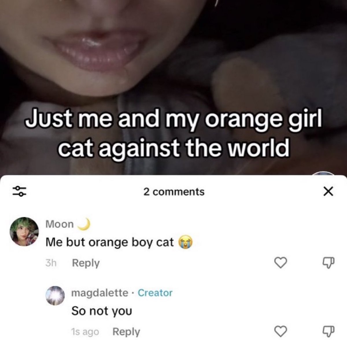 ໊ (@buffys) on Twitter photo 