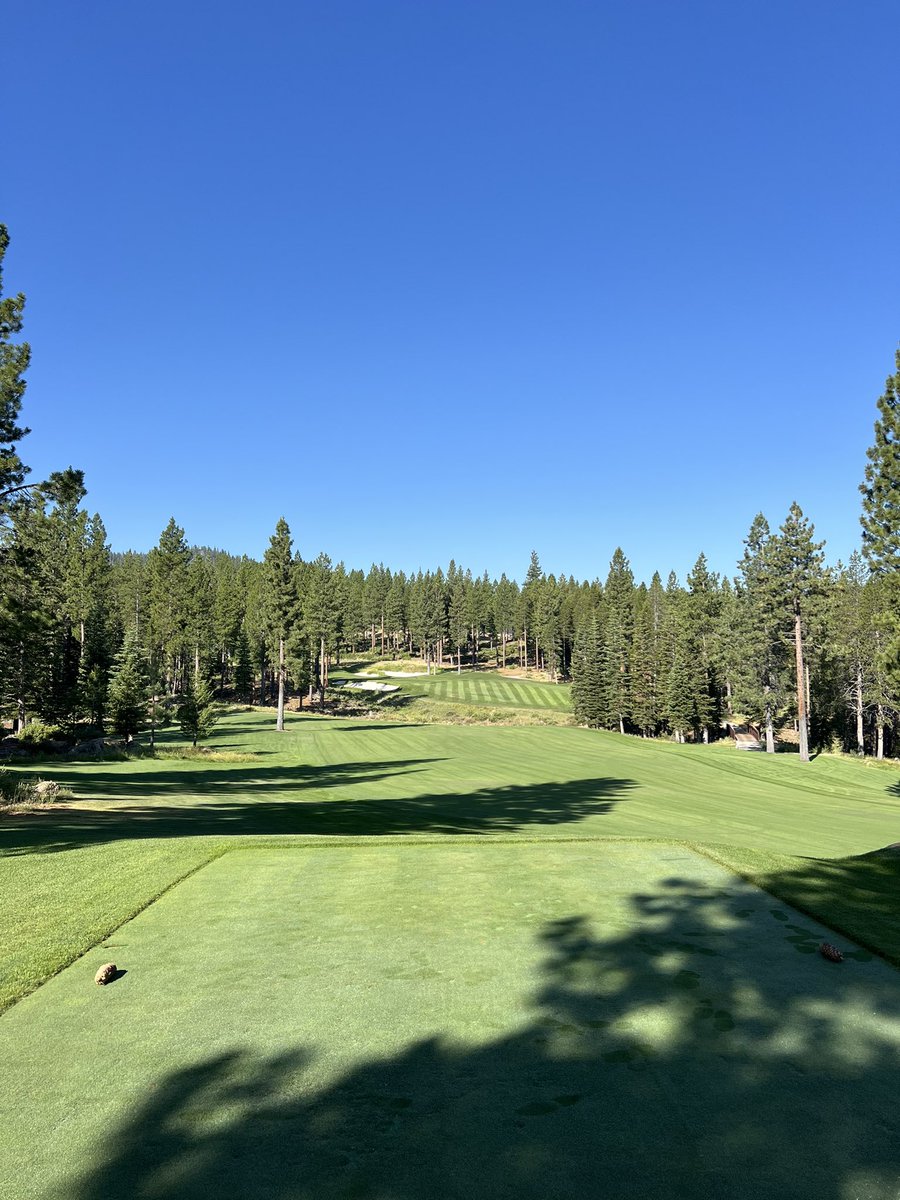 Evan McFadden〽 tweet media