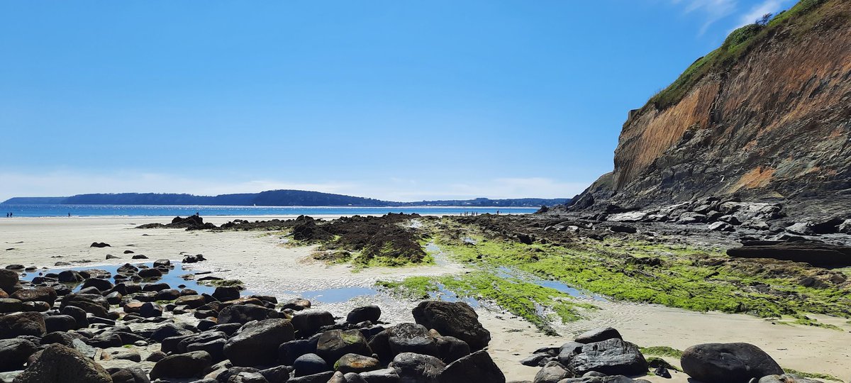 yvetteferrand's tweet image. Plage de l'Aber aujourd'hui #Morgat #Crozon #Finistère