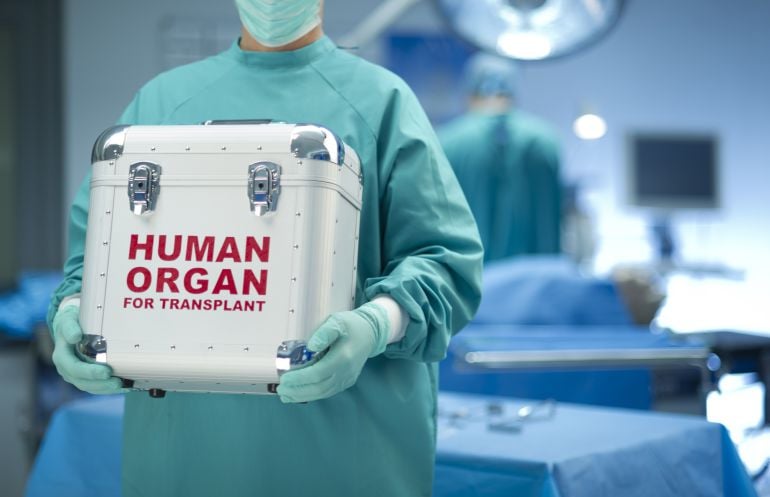 ElDia_do's tweet photo. Salvando vidas: La importancia de la donación de órganos
https://t.co/9nyGLkXkWI
#PeriódicoElDía #donacióndeórganos #INCORT
#IsisOller #órganos #salud https://t.co/jCvMia25KE