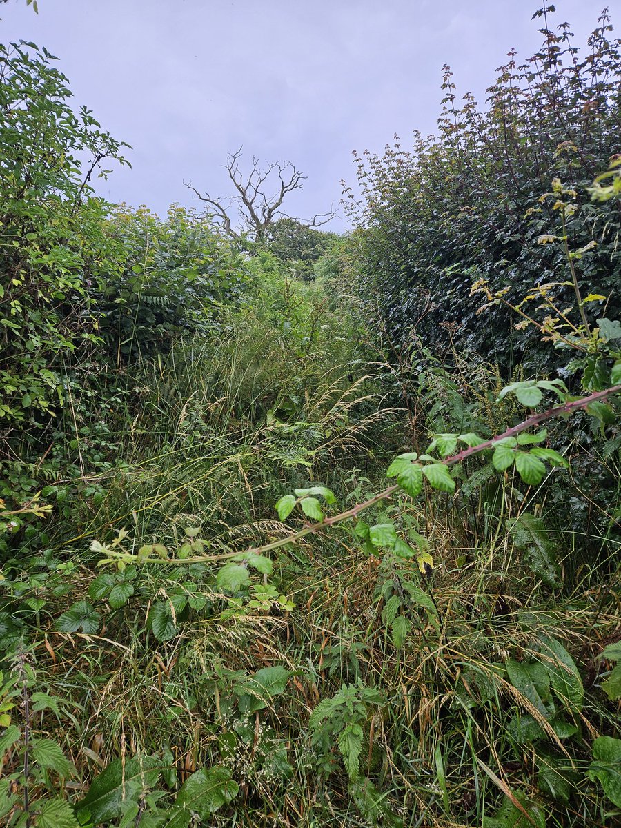 Penny Short tweet media