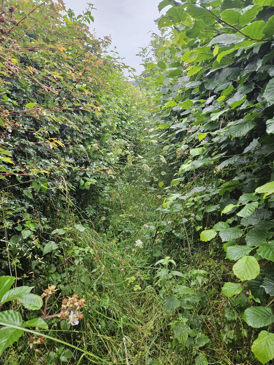 Penny Short tweet media