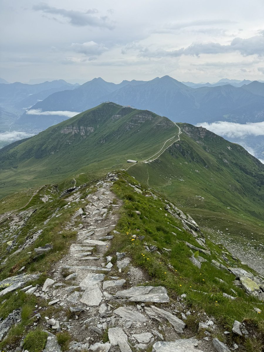 Kasper Mejlgaard tweet media