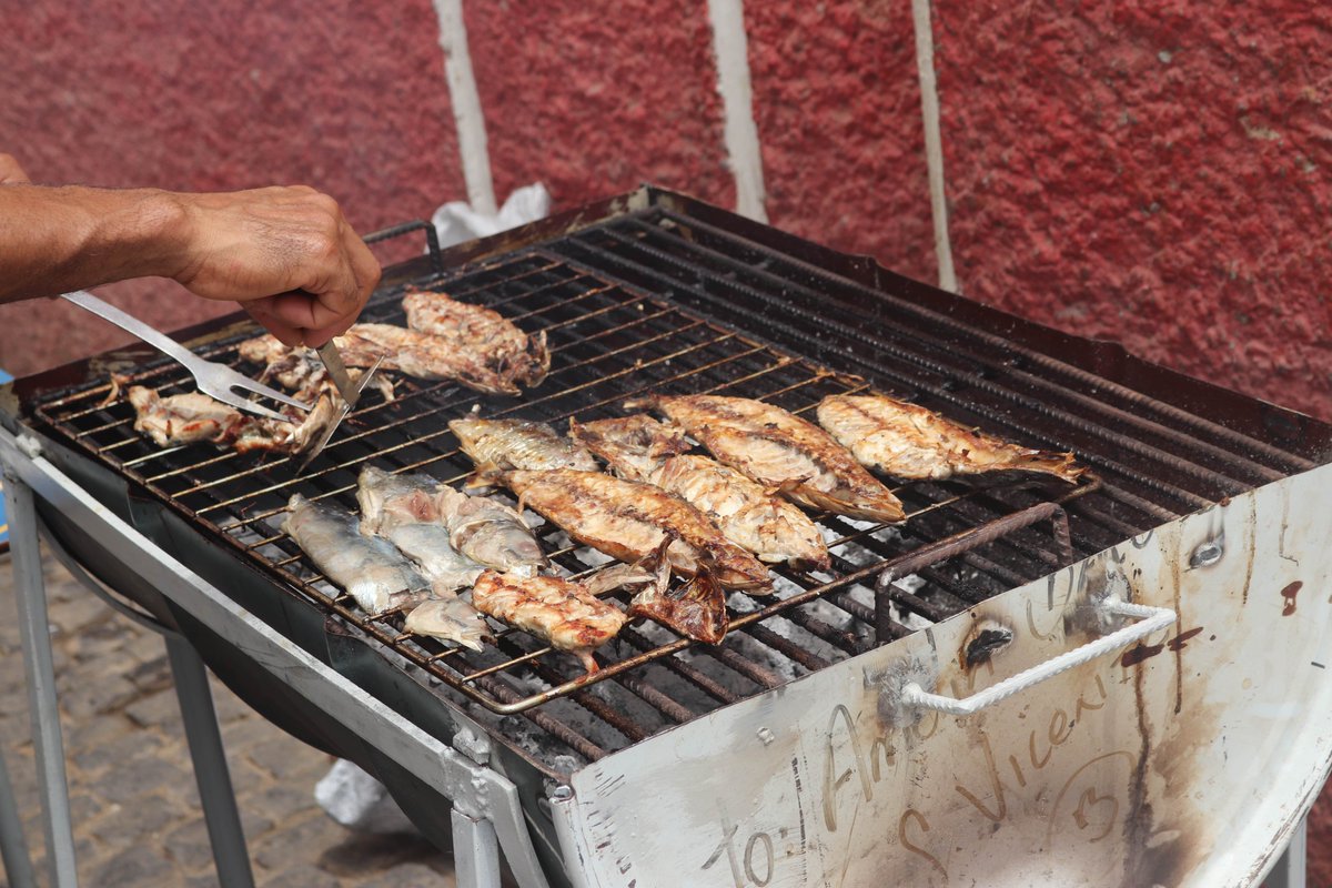 FAOCaboVerde's tweet photo. 📍Happening Now!

@FAO at #Kavala #Fresk #Feastival 2024!

Come have fun &amp; find out more about #FAO, learn how you can get healthy nutrition 🥘 &amp; contribute to a more sustainable oceans &amp; fisheries. 🎣

Stand, games for children, conference, gastronomy &amp; lots of 🇨🇻 CV’s culture. https://t.co/QPAxvS7xsa