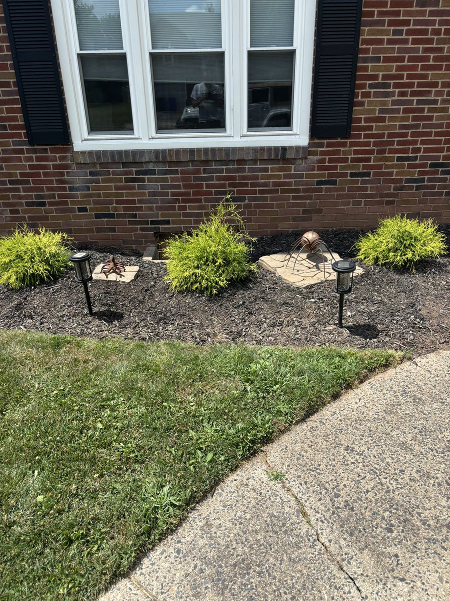 JeremyBat10's tweet photo. Cool scrap metal sculptures by a classmate of my mother’s. I’m sure no one will steal this in the next few days. https://t.co/ondrOrqErF