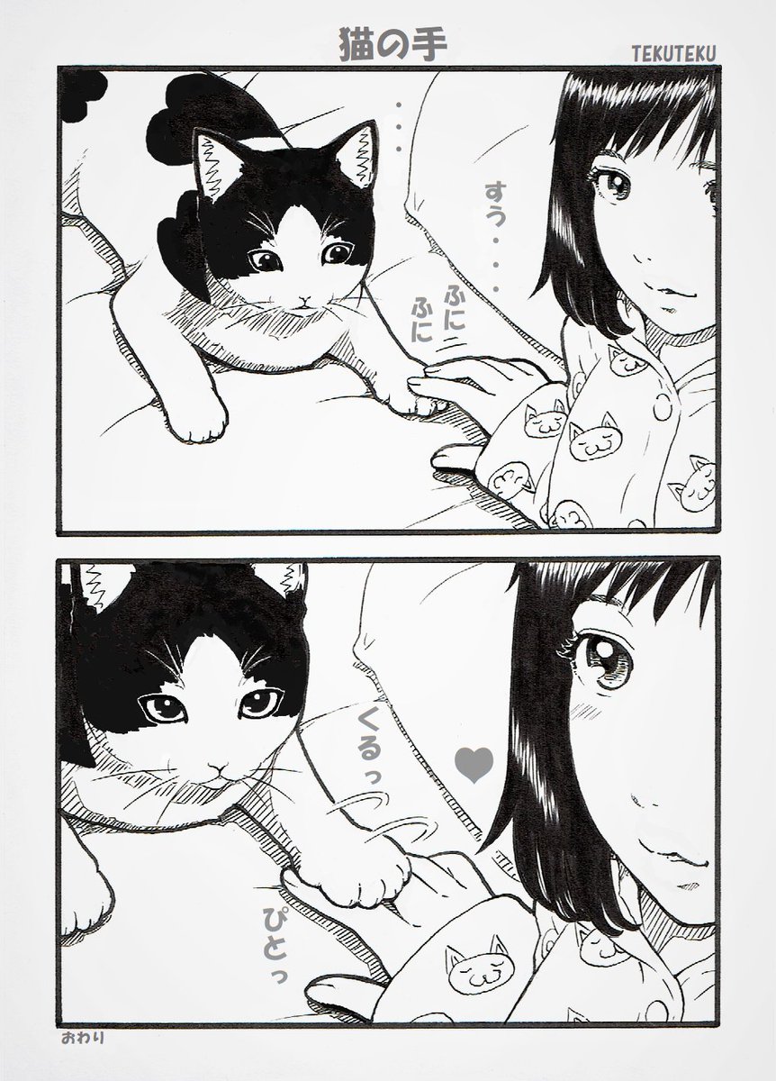 #三連休はフォロワーさんが増えるらしい 🐈‍⬛🐾💕 