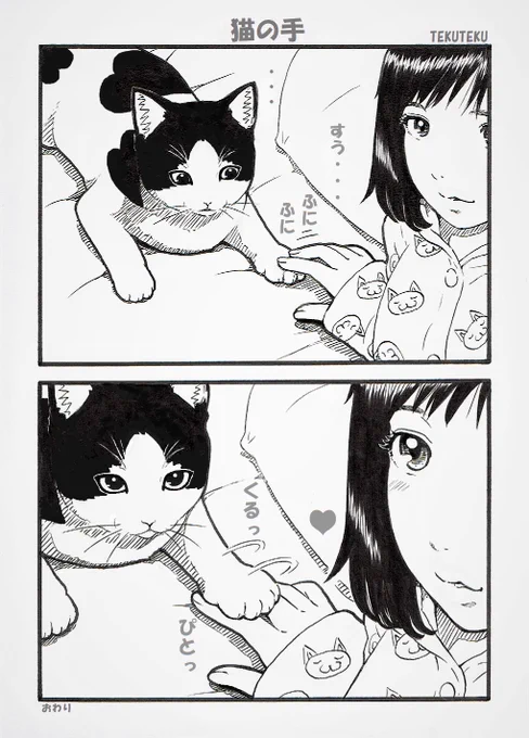 #三連休はフォロワーさんが増えるらしい 🐈‍⬛🐾💕 