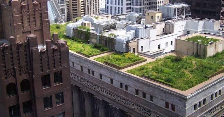 Pay attention to what is happening in the world.  Start growing your own food now.

Supply Chain is falling apart ...!