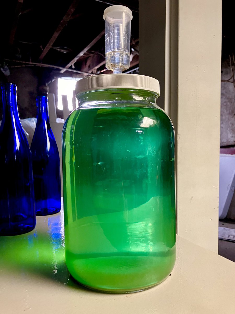 The Baja blast mead is finally ready to bottle. This monstrosity was not meant to be and the sheer amount of chemicals I had to add to counter the Mtn Dew chemicals made sure my yeast was truly battle hardened