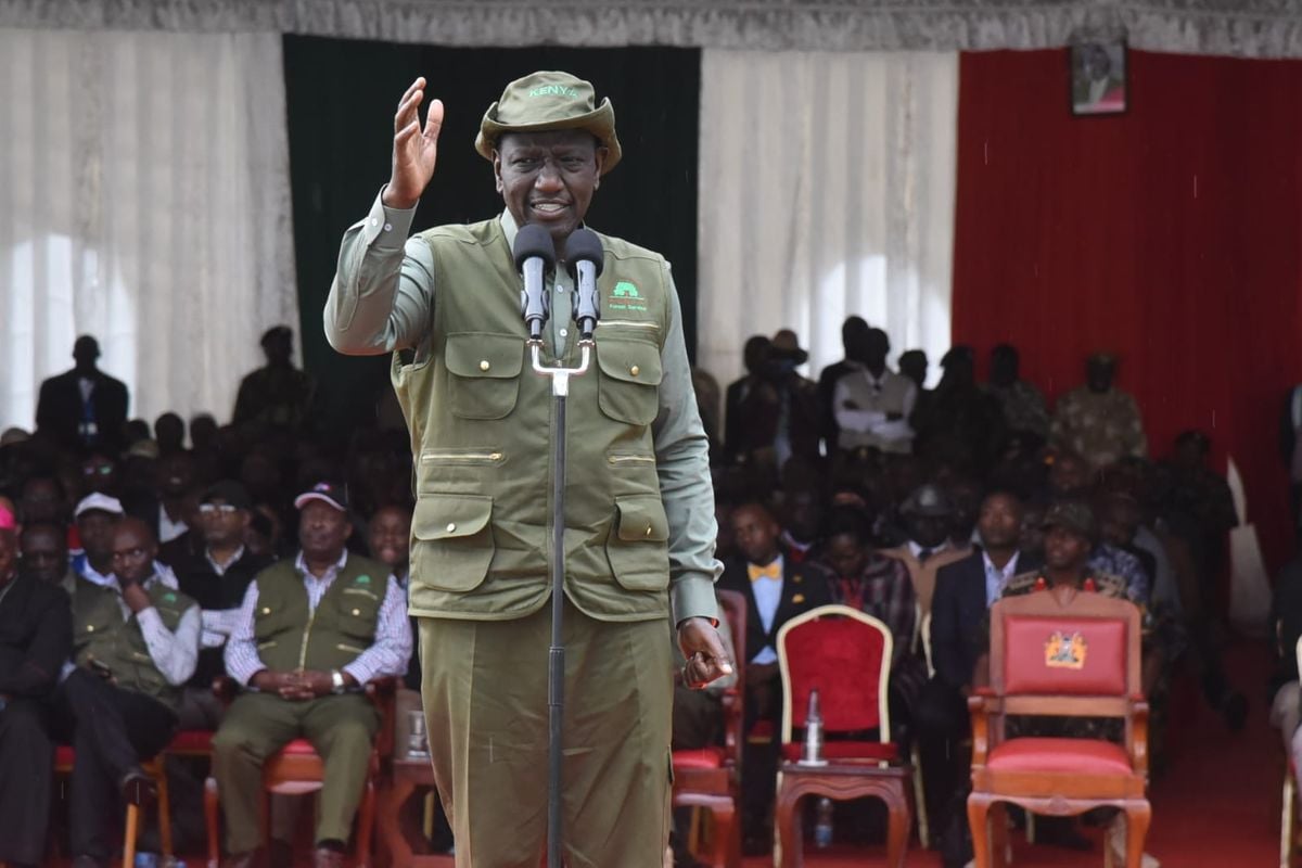 Daily Nation tweet media