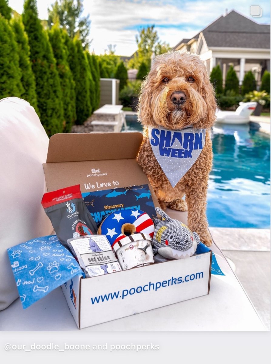 Shark Week Continues Today July 13th! Make your pooch happy with shark toys 🦈 from poochperks.com 
@our_doodle_boone