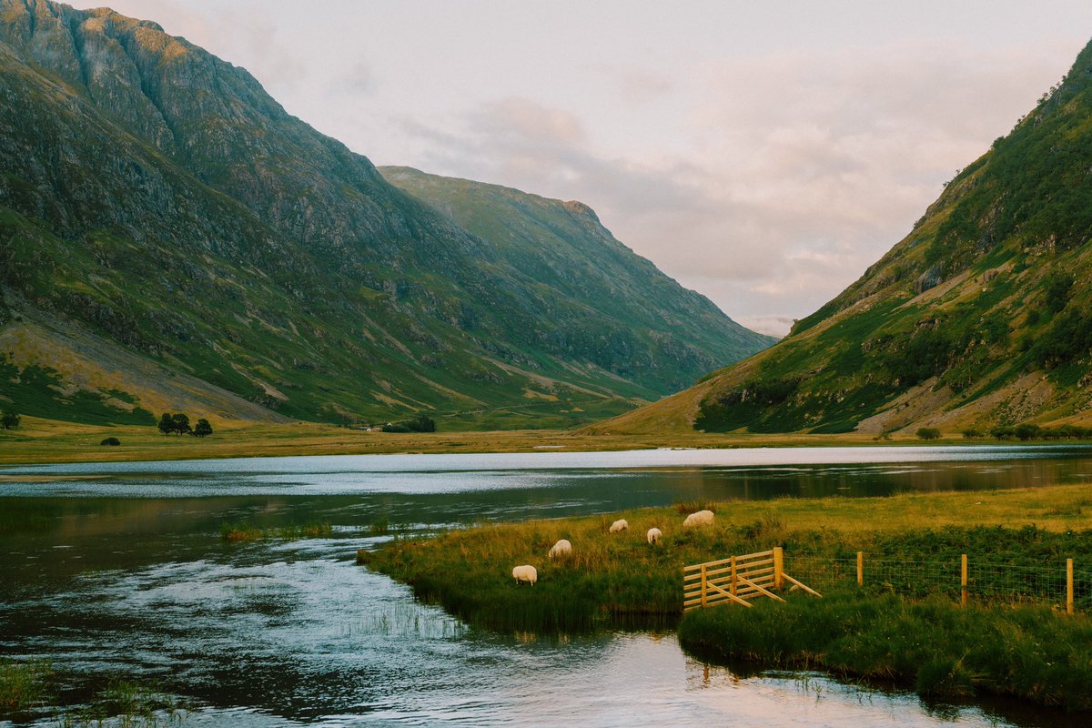 Daniel Casson tweet media